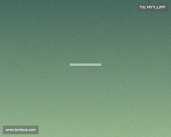 阿什利扬离开曼联加盟国米为踢球而非替补赚薪水 阿什利扬离开曼联加盟国米为踢球而非替补赚薪水